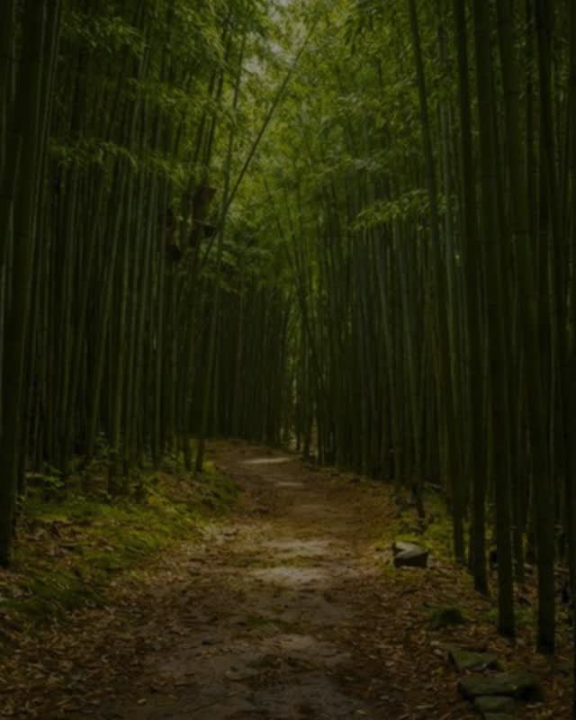 🌎 This Earth Day, make a choice that's better for your home and the planet.

If you're planning a flooring upgrade, here are some eco-friendly options we can help install:

🌱 Reclaimed wood is a recycled material
🌱 Engineered hardwood uses less solid wood per plank
🌱 Cork flooring is responsibly harvested with minimal impact
🌱 Bamboo flooring grows quickly, making it easily renewable

At Footprints Floors of the DMV, we believe great floors should leave a lasting impression, not a heavy environmental footprint. Contact us today at 202-933-5886 for a free estimate!


