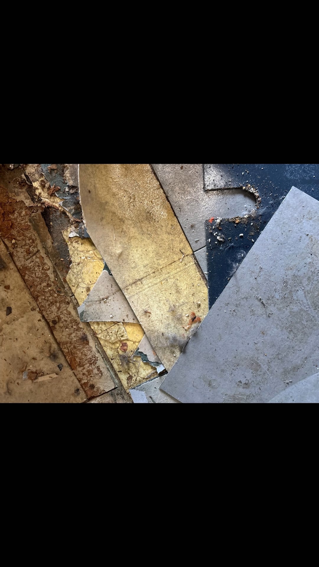 Four layers of old flooring, one on top of another&mdash;gone! Now we&rsquo;re taking this space to the next level with a beautiful new tile floor. 

From demolition to transformation, watch how we turned this tired, layered floor into a clean, fresh new look!

Another flooring transformation by Footprints Floors of Fairfax! 

Click the link in our bio to visit our website and schedule a free estimate or to learn more.
https://tinyurl.com/ftprntsflrsfrfx


