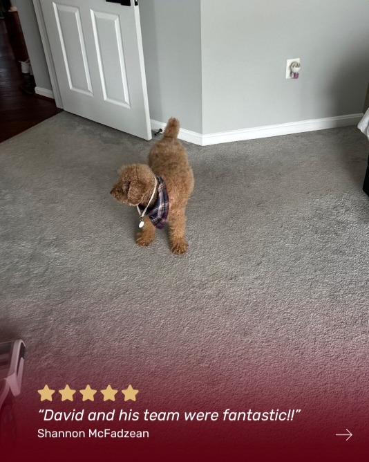 Thanks for trusting us with your home, Shannon! We're so happy you love your new floors.

Our team at Footprints Floors of Fairfax is prepped and ready for every step of the installation process - which includes answering all of your important questions! 

Dreaming of a smooth home improvement project and high-quality team of contractors? Click the link in our bio to visit our website and schedule a free estimate or to learn more.

https://tinyurl.com/ftprntsflrsfrfx

