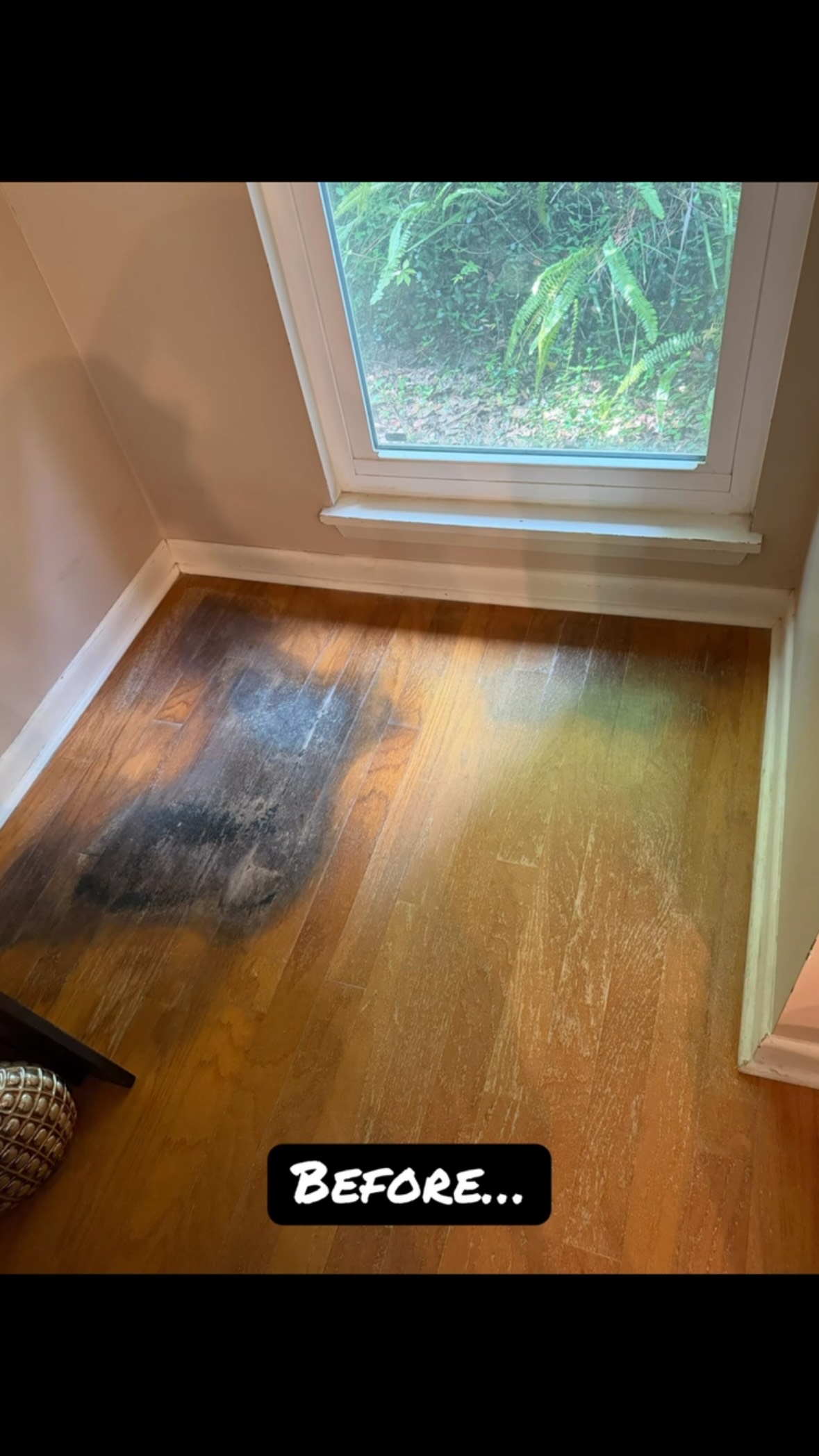 Water damage. What water damage? We can make it look like it never happened. Laced in new wood to replace the damaged planks then coated the whole floor with a new finish to blend it in. Customer loved the result!