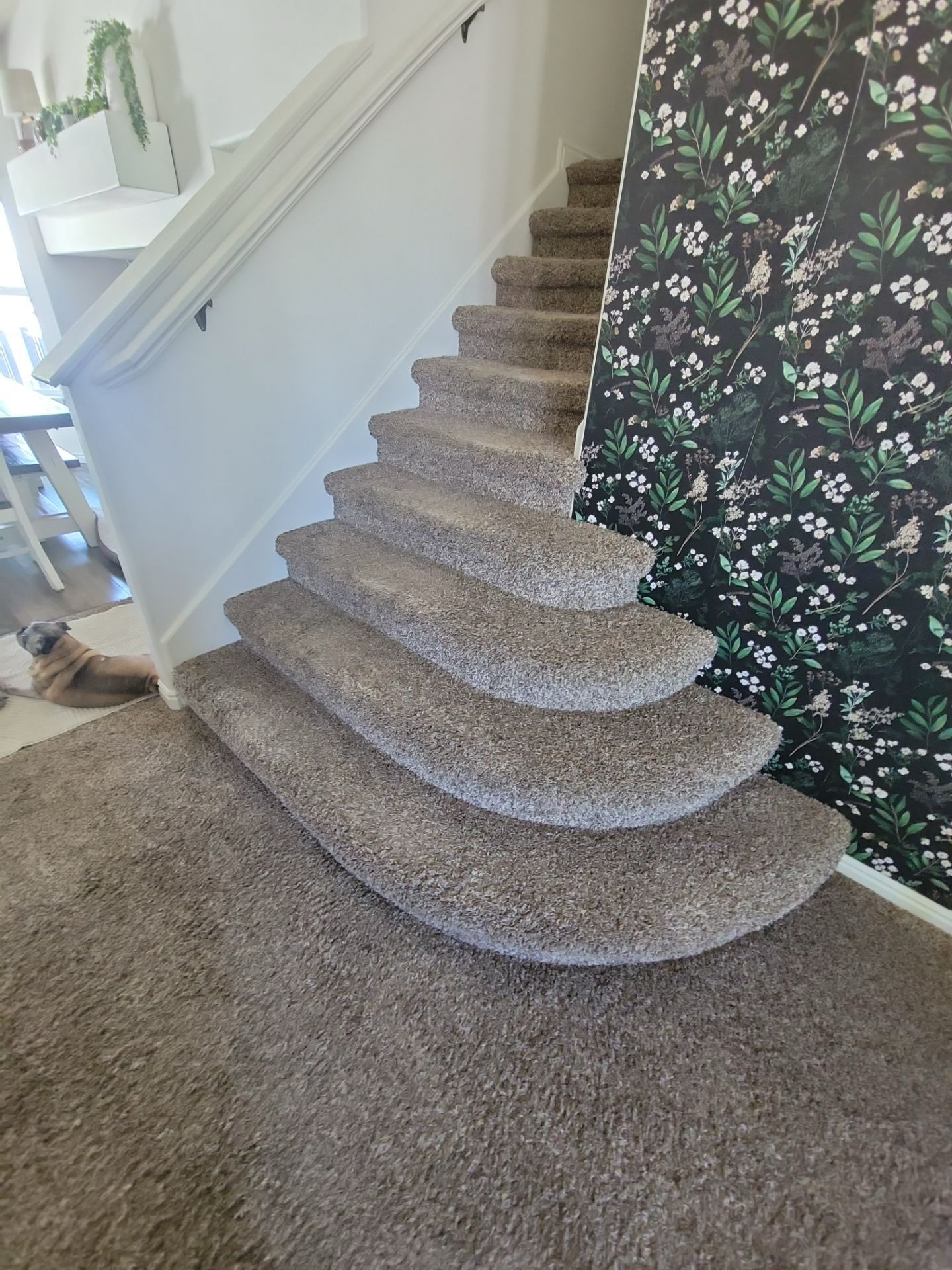 We love how these beautiful hardwood floors bring warmth, character, and a timeless feel to this space. The natural wood tones complement the staircase perfectly, creating a seamless look that feels both inviting and sophisticated. Thank you, Lisa, for trusting Footprints Floors of Northern Utah with your home! 🏡✨