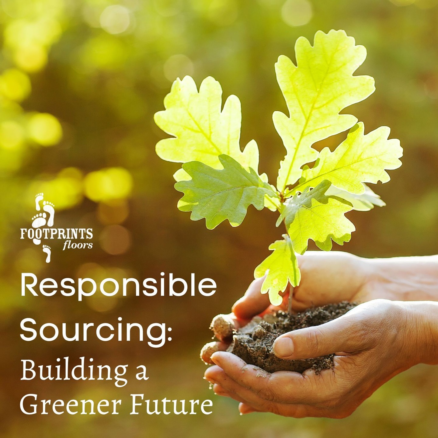 In part 3 of our sustainability series, we're looking at tree harvesting practices. Our country strives to protect our precious forests while simultaneously working to meet our housing needs. We're proud of the way wood flooring is being sourced today in these 4 ways:

1. Reforestation: With the understanding that planting trees is key to maintaining a healthy ecosystem, the U.S. is actively involved in reforestation efforts. Forest restoration projects are underway across the nation, promoting biodiversity and sustainability.

2. Harvesting Regulations: The U.S. has established comprehensive harvesting regulations to prevent overcutting and protect vulnerable areas such as old-growth forests and wildlife habitats. These regulations ensure that logging activities are carried out responsibly and sustainably.

3. Certification: The United States boasts rigorous certification programs like the Forest Stewardship Council (FSC) and Sustainable Forestry Initiative (SFI). These programs ensure that the timber and paper products we use come from responsibly managed forests

4. Conservation Partnerships: Collaboration is crucial! The United States collaborates with various organizations, including environmental groups, local communities, and industry stakeholders, to develop and implement sustainable forestry practices. Together, we're fostering a culture of responsible sourcing.

Footprints Floors Raleigh celebrates the efforts being made to protect our forests and ensure a thriving future for generations to come!