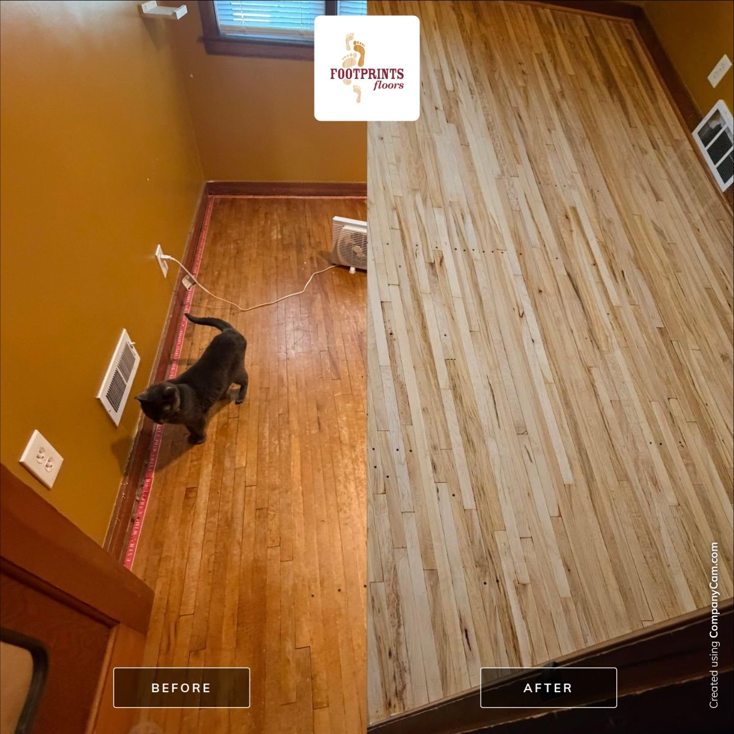 🍁 Did you pull up your carpet and discover orange maple hardwood floors?

Don&rsquo;t cover them back up!

That orange, amber look was popular years ago, but today&rsquo;s refinishing options can completely transform your floors into a fresh, modern finish that complements any home.

✨ Lighter, natural tones
✨ Fresh Rich Look
✨ Satin finishes that hide wear and look timeless

If you&rsquo;ve been living with outdated maple floors, now is the perfect time to bring them back to life.

📞 Contact us today for a free estimate and see what&rsquo;s hiding beneath the orange!