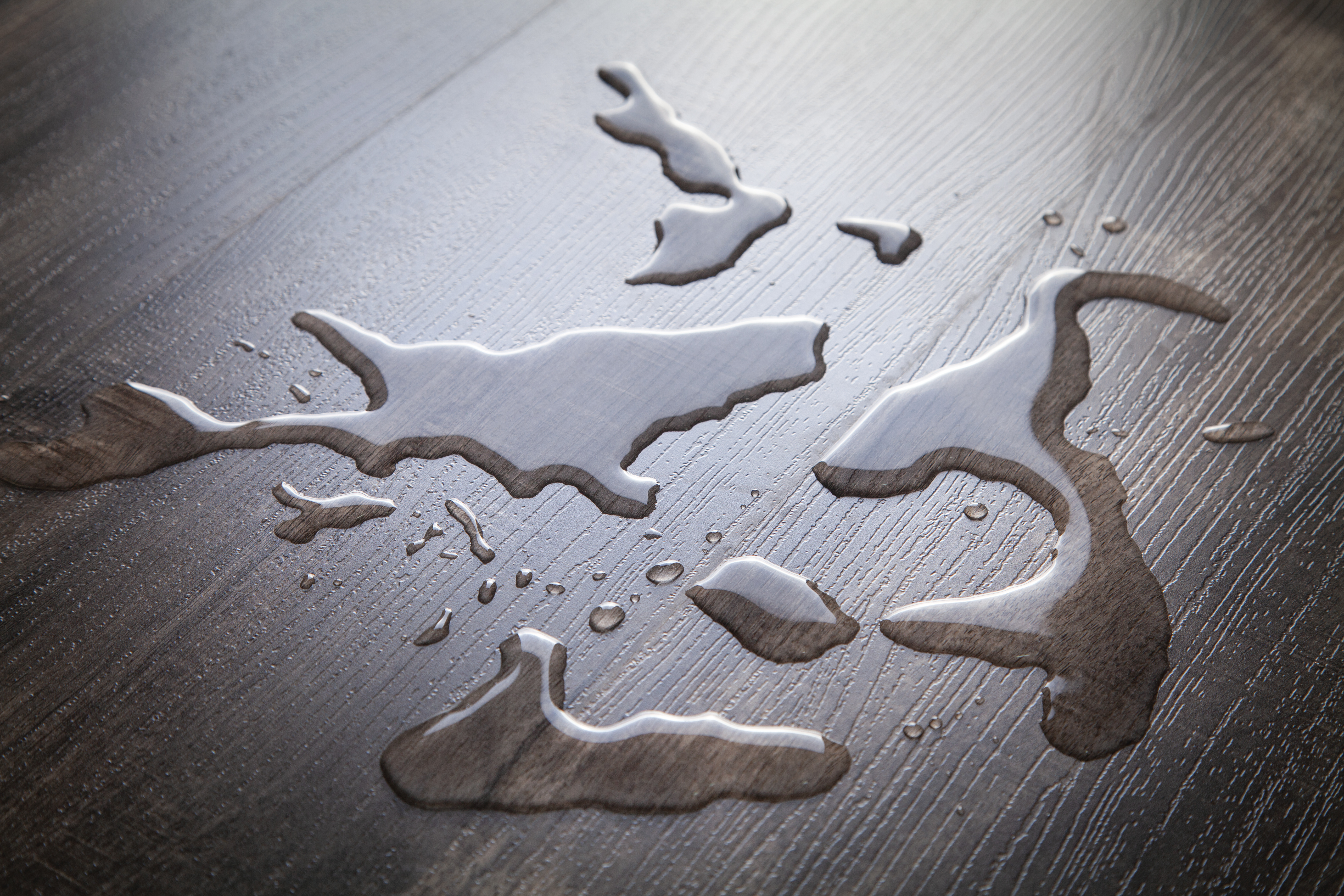 A picture of water spilled on hardwood floor - if you are in need of water damaged hardwood flooring restoration, contact Footprints Floors in Arlington / Collierville, TN today!