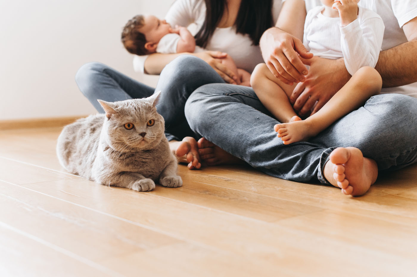 An image of a family and their pet sitting on beauitful flooring - find floors that make your life easier with these lifestyle guides from Footprints Floors.